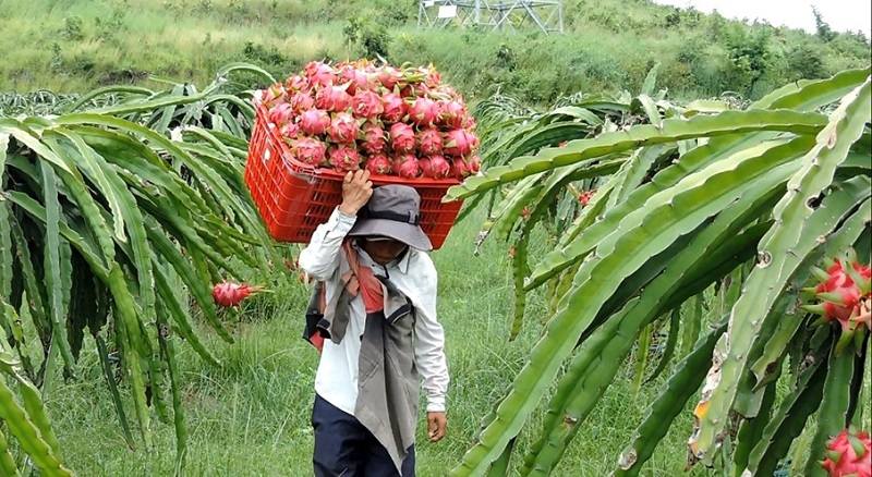 đặc sản bình thuận