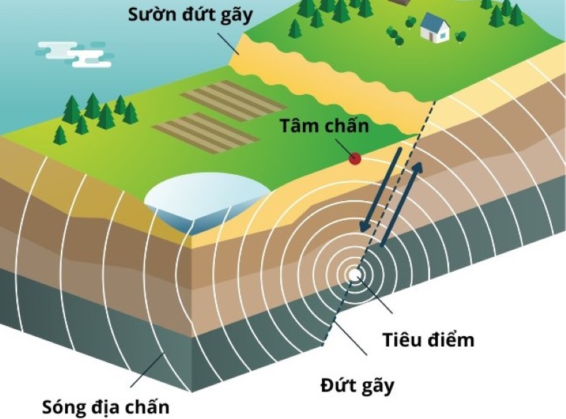 Động đất là gì? Nguyên nhân, tác hại và cách phòng tránh động đất