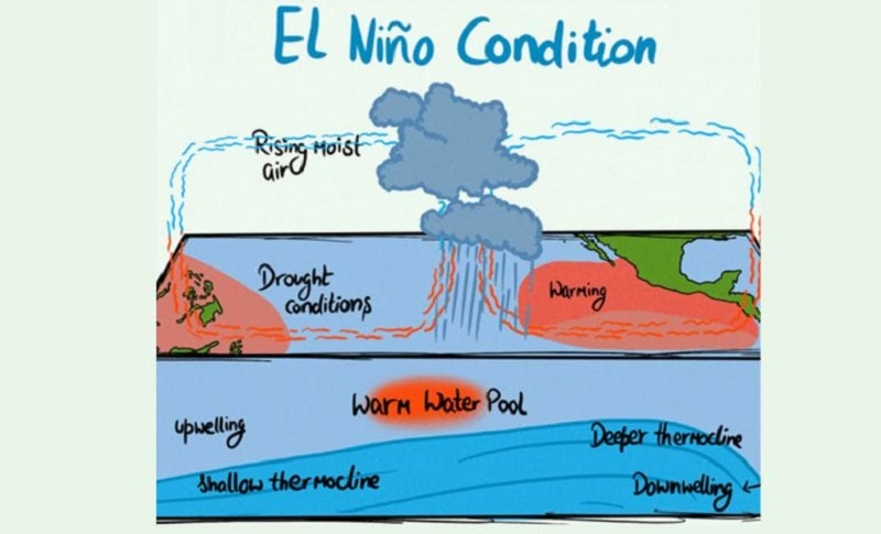 Hiện tượng El Nino là gì? Nguyên nhân, tác động và cách phòng tránh