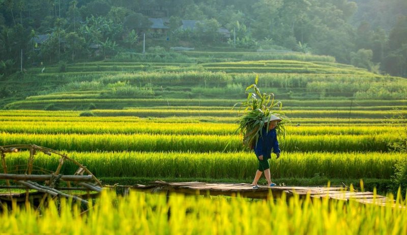 khí hậu ở thanh hoá