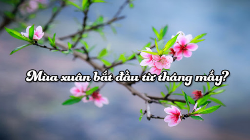 Mùa xuân bắt đầu từ tháng mấy