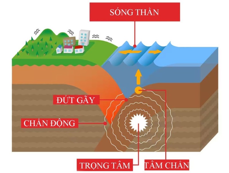 nguyên nhân gây ra sóng thần