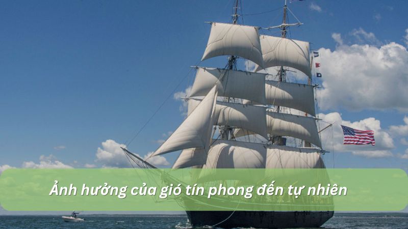 Ảnh hưởng của gió tín phong