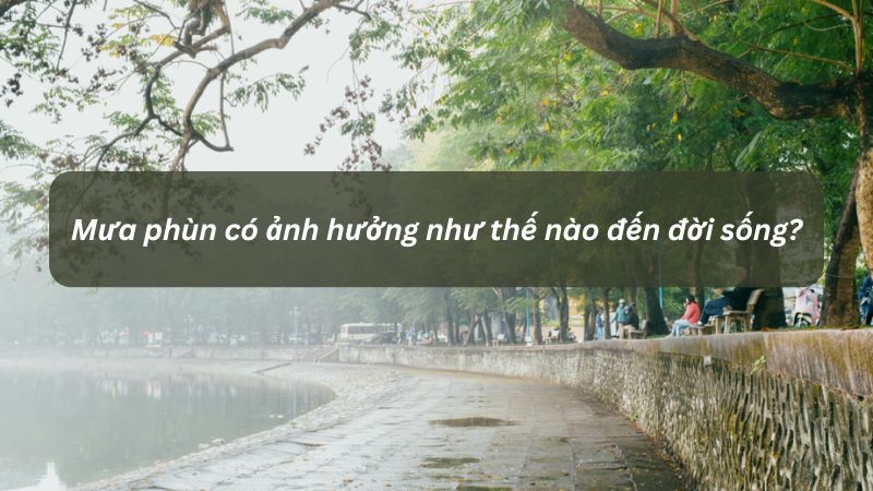 Ảnh hưởng của mưa phùn