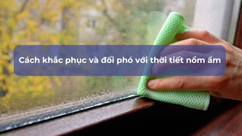 Biện pháp hạn chế nồm ẩm