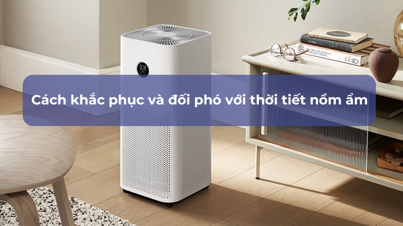 Cách khắc phục nồm ẩm