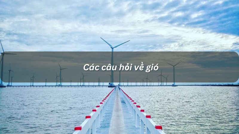 Câu hỏi về gió