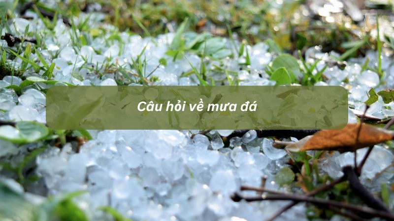 Câu hỏi về mưa đá