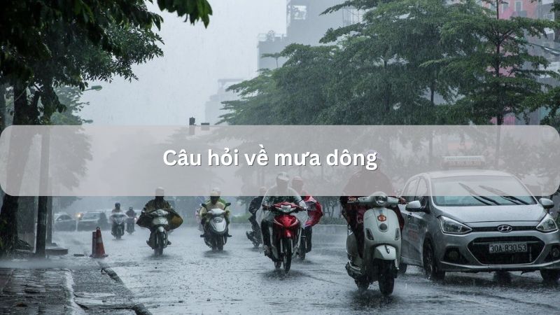 Câu hỏi về mưa giông