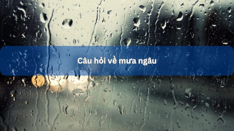 Câu hỏi về mưa ngâu