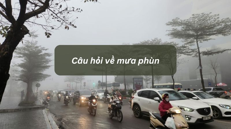 Câu hỏi về mưa phùn