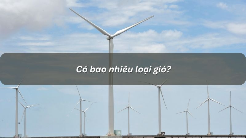 Có bao nhiêu loại gió