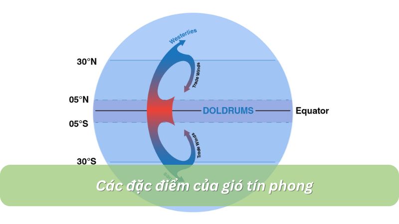 Đặc điểm của gió tín phong