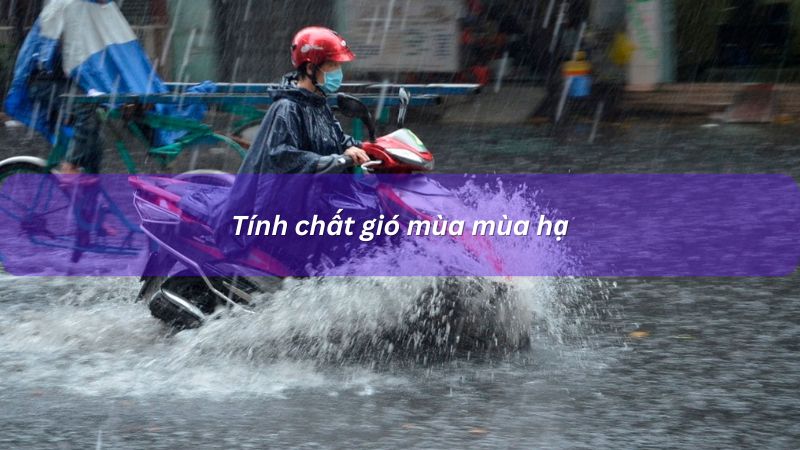 Gió mùa mùa hạ