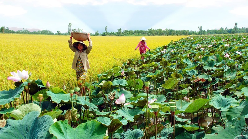 Khí hậu tại Long An 