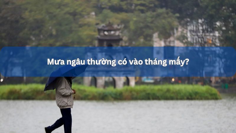 Mưa ngâu tháng mấy