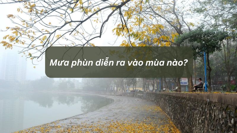 Mưa phùn diễn ra vào mùa nào