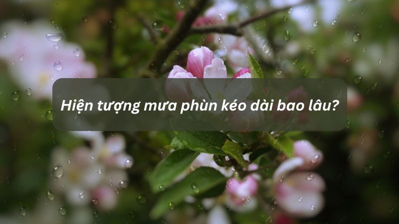 Mưa phùn kéo dài bao lâu