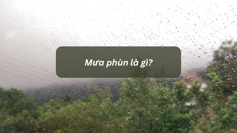 Mưa phùn là gì? Các đặc điểm của mưa phùn