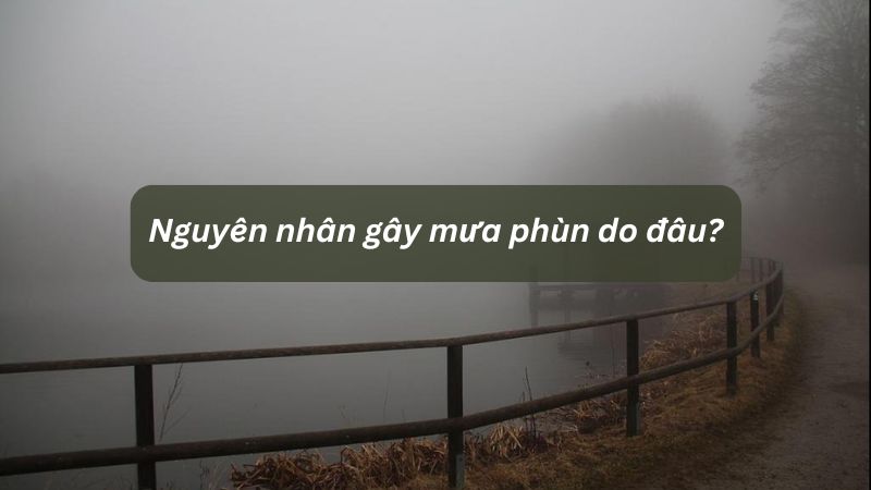 Nguyên nhân gây mưa phùn