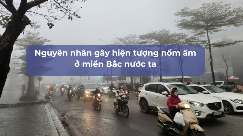 nguyên nhân gây hiện tượng nồm ẩm