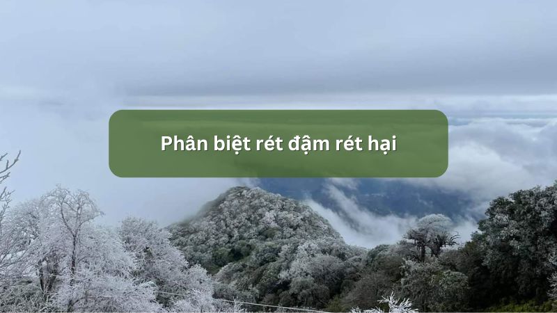 Phân biệt rét đậm rét hại