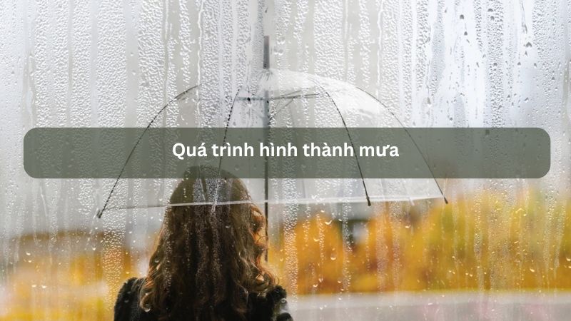 Quá trình hình thành mưa