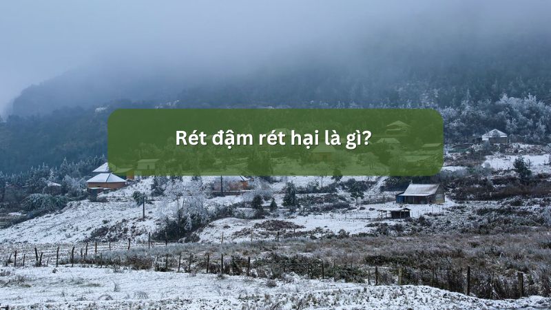 Rét đậm rét hại là gì