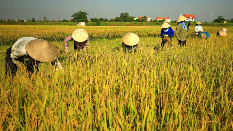 thời tiết nam định